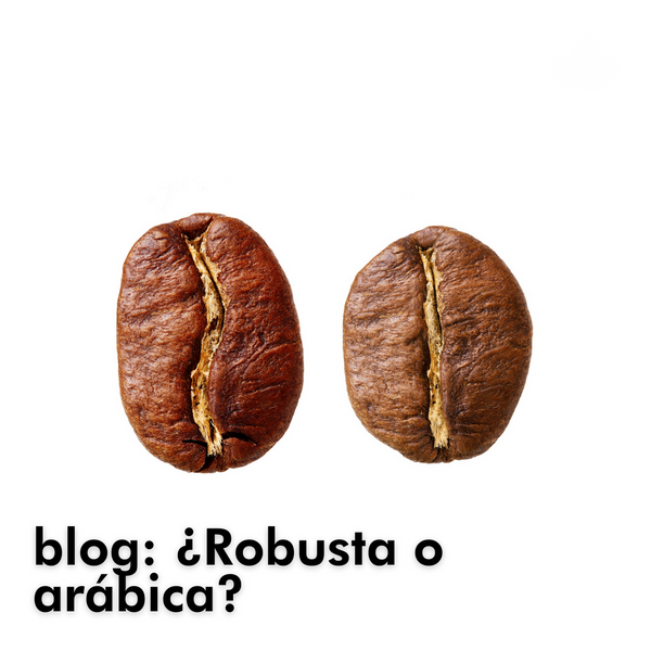 ¿Arábica o Robusta? ¿Qué elegir?