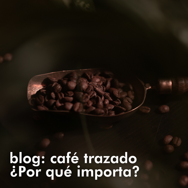 ¿Qué es la trazabilidad del café y porqué importa?