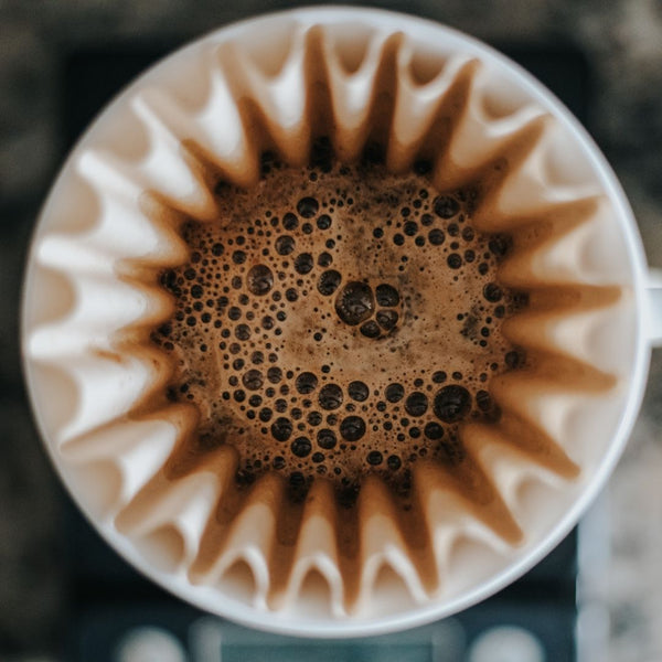 Blooming: el arte de desgasificar el café